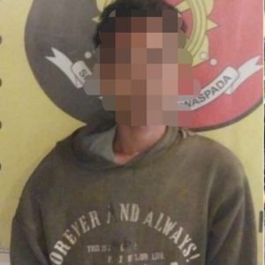 Polsek Gunung Megang Tangkap Pencuri Sawit di Kebun PTPN IV