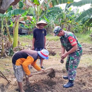 Babinsa Koramil 02/Pondok Gede Monitoring Hasil Panen Poktan Kalimanggis, Dorong Ketahanan Pangan Nasional