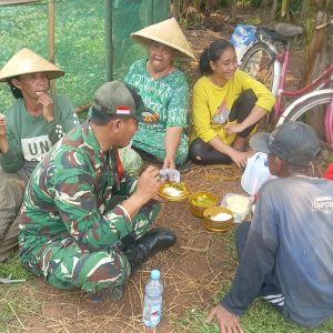 Panen Bersama Warga, Babinsa Padurenan Nikmati Makan Liwet sebagai Bukti Kedekatan TNI dan Rakyat