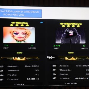 Pemerhati Digital Nilai Tepat Polisi Tangkap Hacker @bjorkanesiaaa, Ini Penjelasannya