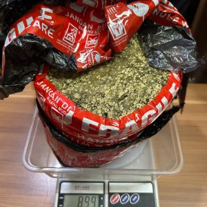 Sat Resnarkoba Polres Metro Bekasi Kota Berhasil Mengamankan 2 Pengedar, Sita Total 1,567 Gram Ganja dan Sabu