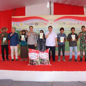 Penanaman Jagung Serentak Kuartal IV, Dukung Swasembada Pangan Nasional 2025