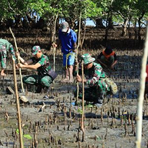 Lestarikan Pantai, Satgas TMMD Kodim 1505/Tidore Galakkan Penanaman Mangrove di Oba Selatan