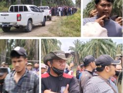 Bawa Bambu, Ratusan Massa Diduga Dari PT BSP Rusak Fasilitas Warga dan Keroyok Petani di Asahan