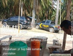 Pemanenan Sawit di Lahan Eks HGU PT BSP Asahan Disorot, Kehadiran Personel Polsek Parapat Janji Tuai Pertanyaan