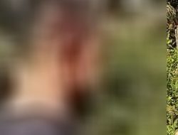 SUDAH JADI TERSANGKA, TAPI BELUM DITAHAN! KASUS PENGANIAYAAN NAWAWI DI LABUHANBATU DISOROT