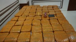 POLDA METRO JAYA BERHASIL MENGUNGKAP PEREDARAN 62,5 KILOGRAM GANJA, DI JAKARTA BARAT