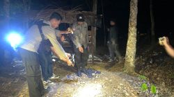 Penganiayaan Maut di Lapak Sawit Aur Duri, Pria 45 Tahun Diamankan Polisi