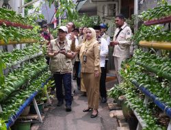 Utan Kayu Selatan Lolos Final Benyamin S Award, Inovasi Warga Jadi Sorotan Tim Verifikasi