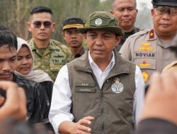 Usai 26 Perusahaan Ditindak, Menhut Raja Juli Sanksi untuk 5-6 Perusahaan Berikutnya