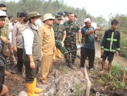 Danlanud Sjamsudin Noor Dampingi Menhut RI Tinjau Hutan Lindung Liang Anggang, Perkuat Sinergi Penanganan Karhutla