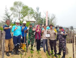 Posbinter Lobam Bersinergi Dengan PT. BIIE Tanam Mangrove, Wujud Kepedulian Terhadap Kelestarian Ekosistem Pesisir Bintan