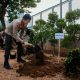 Polda Metro Jaya Tanam Pohon, Ajak Personel Hadirkan Kesejukan bagi Masyarakat